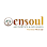 Ensoul Aesthetics & Wellness