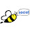 Let's Bee Social