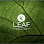 Leaf Spa Chicago