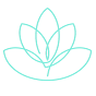 Clear Intentions Counseling - Savannah Fulford, LMHC