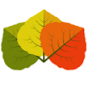 Colorado In-Home Counseling