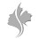 Canadian Plastic Surgery Centre