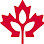 Canadian Institute of Food Safety