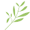 Canadian Institute of Floral Design: Professional Floral Design School