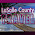 LaSalle County Travel Agency, Inc.