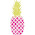 Pink Pineapple Travel Co LLC