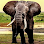 Best Camping Tours and Safari Ltd
