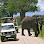 Gracepatt Ecotours Kenya