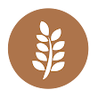The Source Bulk Foods Richmond