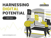 Digital Kings Networking LLC