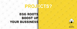 Egg Root Digital Marketing Agency