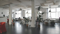 Succeedo - Digital Marketing, SEO, Web Development Agency in New York, NYC