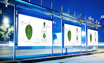 Starfish Branding Agency