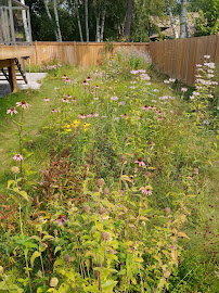 Divine Healing - Reiki and Energy Healing