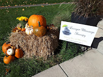 Lecuyer Massage Therapy