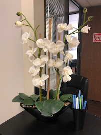 Amerejuve Medspa Shepherd