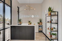 Sculpt Spa