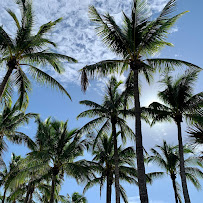 Jupiter Screen Guys LLC