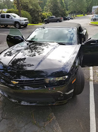 Tallahassee Auto Glass llc.