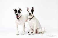 Black and Light Studio - Natural Light Studio Rental