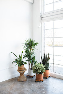 Fat Baby Photography