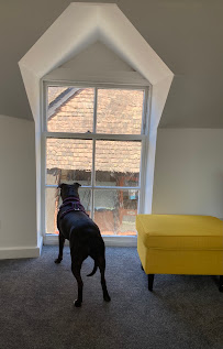 Jones & Young Mortgage Broker