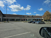 Casual Male XL Outlet