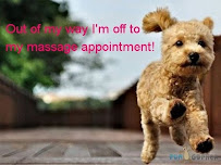 Body by Karen Massage & Wellness