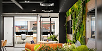 iQ Commercial Mortgage Strategy Inc.