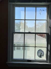Alpha Window Washing