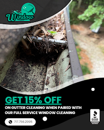The Window Cleaner