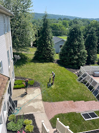 Wintergreen Window Cleaning LLC