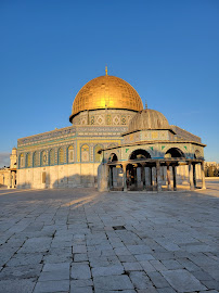 Travendly