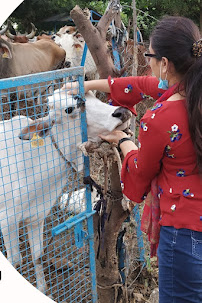 SARTHI ABHYUDAY WELFARE FOUNDATION