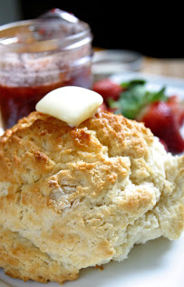 Biscuit Head