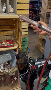 Alamo Pet Experts