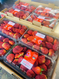 Rinella Produce