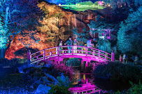 The Lighting & Sound Company