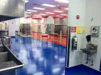 Painters USA