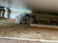 Pestcure ltd - London