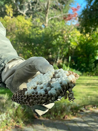 EcoCare Pest Management