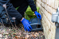 EcoCare Pest Management