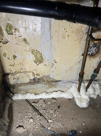 Pest Protect Pest Control London