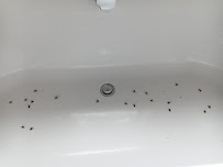 Quick Pest Control Ltd