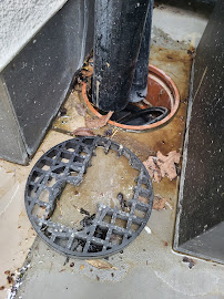 Elite Force Pest Control LTD