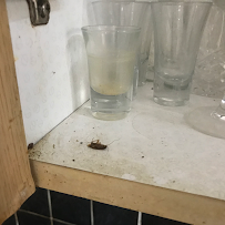 Archers Pest Control