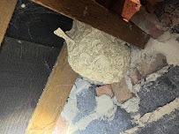 RapidKill Pest Control