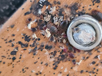 All Aspects Pest Control Ltd