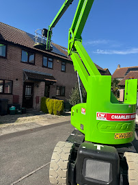 Elimination Pest Control