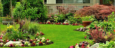 Carolina Pest Management - Monroe